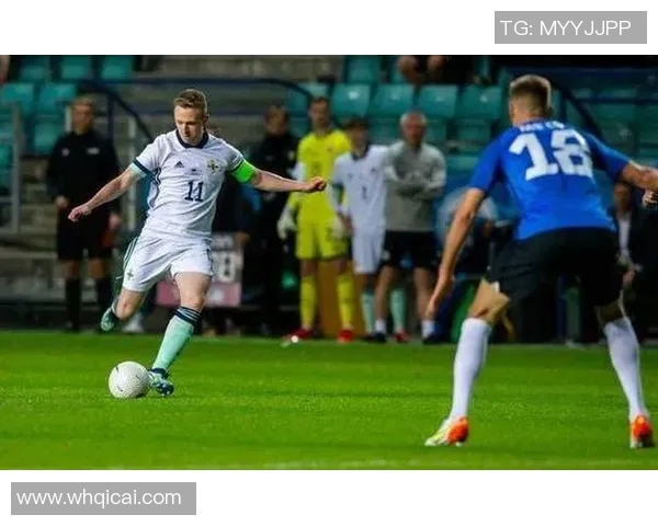 德国与北爱尔兰精彩对决集锦回顾与分析