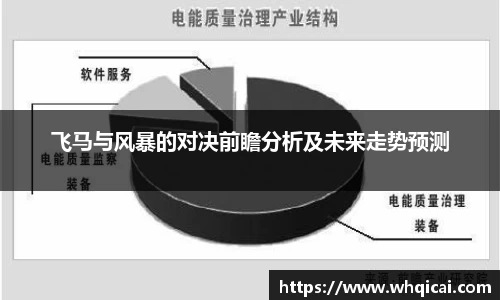 飞马与风暴的对决前瞻分析及未来走势预测