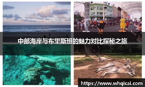 中部海岸与布里斯班的魅力对比探秘之旅